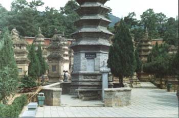 Xingta