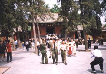 shaolin_pipl