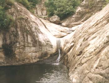shaoshi